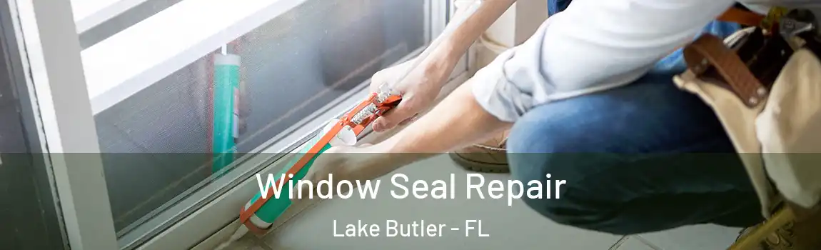  Window Seal Repair Lake Butler - FL